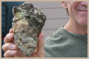 Oyster Roast